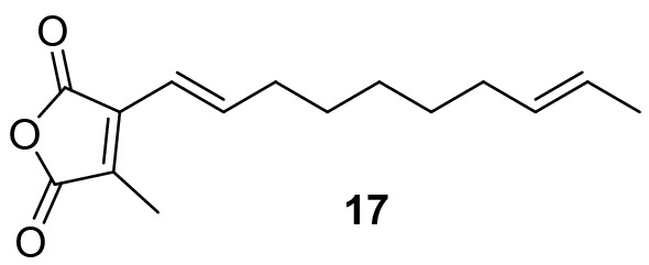 In silico analyses of maleidride biosynthetic gene clusters.