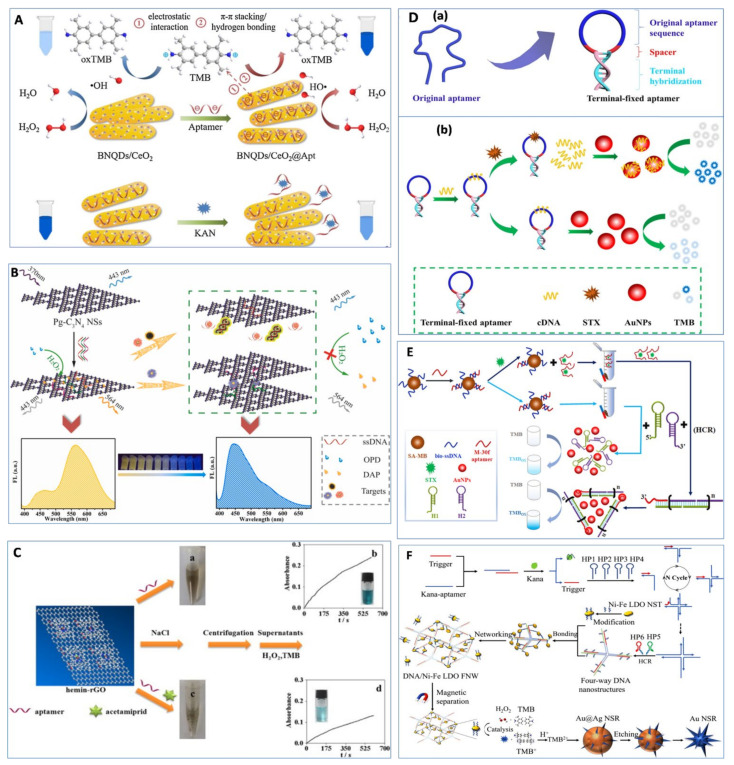 Regulation Mechanism of ssDNA Aptamer in Nanozymes and Application of Nanozyme-Based Aptasensors in Food Safety.