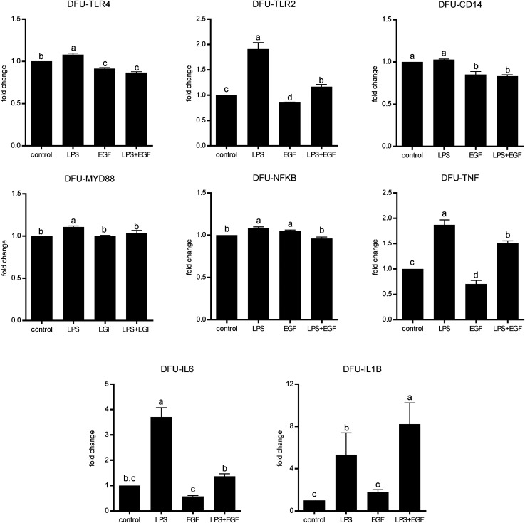 Epidermal growth factor effect on lipopolysaccharide-induced inflammation in fibroblasts derived from diabetic foot ulcer.