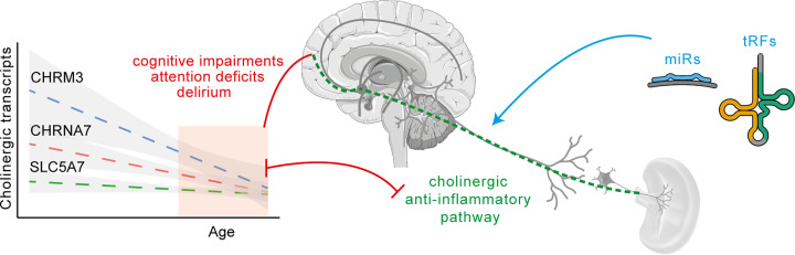 Cholinergic blockade of neuroinflammation: from tissue to RNA regulators.