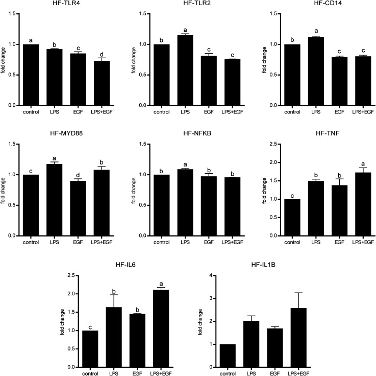 Epidermal growth factor effect on lipopolysaccharide-induced inflammation in fibroblasts derived from diabetic foot ulcer.