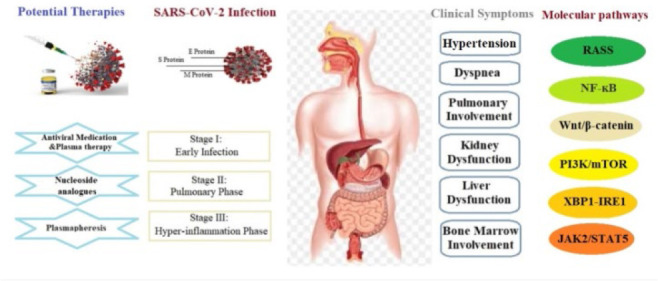 COVID -19: From the Molecular Mechanisms to Treatment.