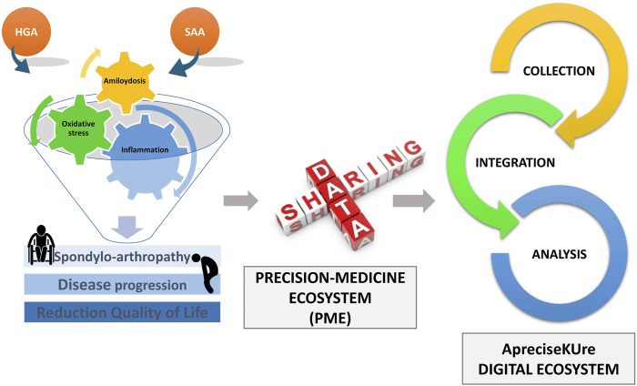 Computational Approaches Integrated in a Digital Ecosystem Platform for a Rare Disease.