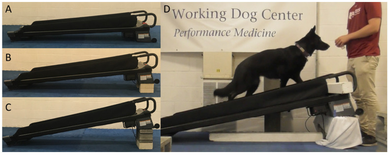 A Formalized Method to Acclimate Dogs to Voluntary Treadmill Locomotion at Various Speeds and Inclines.