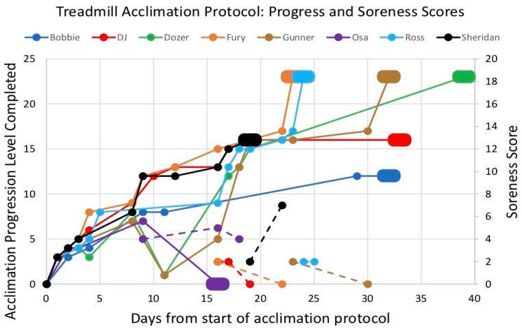A Formalized Method to Acclimate Dogs to Voluntary Treadmill Locomotion at Various Speeds and Inclines.