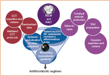 Dual Antiplatelet Regimens for Transcatheter Aortic Valve Replacement and Corresponding Cardiac CT Evaluation of the Leaflets: Single-center Experience.