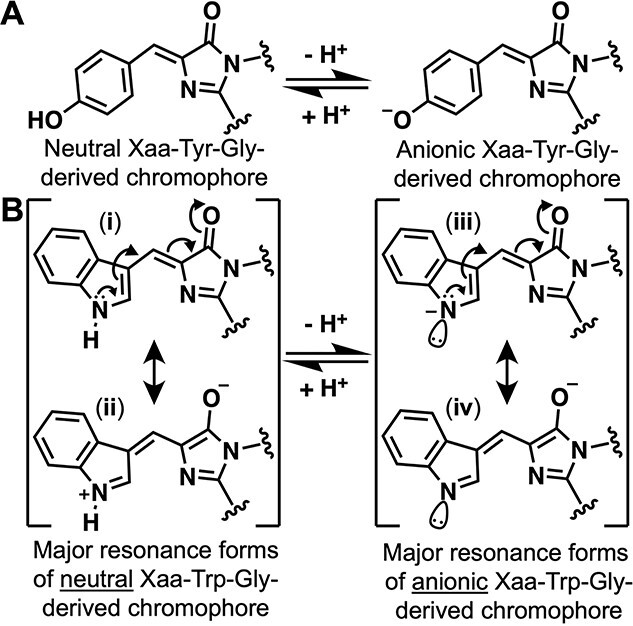 Cyan fluorescent proteins derived from mNeonGreen.