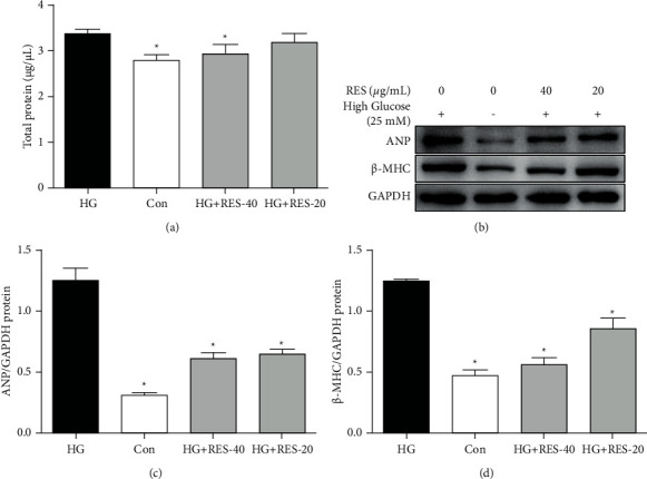 Resveratrol Inhibits High Glucose-Induced H9c2 Cardiomyocyte Hypertrophy and Damage via RAGE-Dependent Inhibition of the NF-<i>κ</i>B and TGF-<i>β</i>1/Smad3 Pathways.