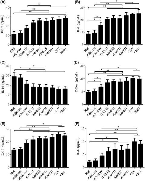 Immunization with a combination of recombinant Brucella abortus proteins induces T helper immune response and confers protection against wild-type challenge in BALB/c mice