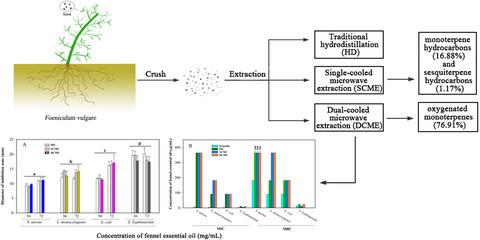 Dual-cooled microwave extraction of Foeniculum vulgare essential oil and its chemical composition and antibacterial activity: Comparison with hydrodistillation and conventional microwave