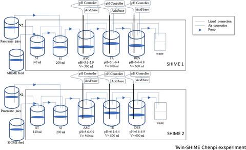 Anti-obesity effects of Chenpi: an artificial gastrointestinal system study