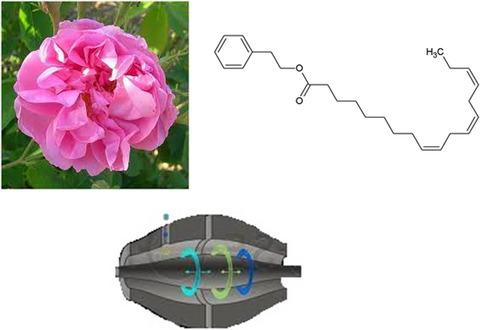 Identification of novel compounds in rose absolute with gas chromatography/high-resolution mass spectrometry