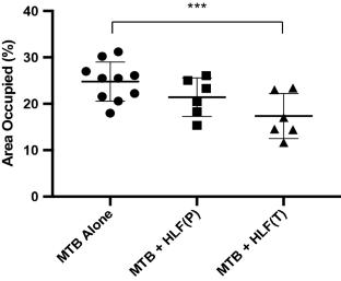 Recombinant Human Lactoferrin Reduces Inflammation and Increases Fluoroquinolone Penetration to Primary Granulomas During Mycobacterial Infection of C57Bl/6 Mice