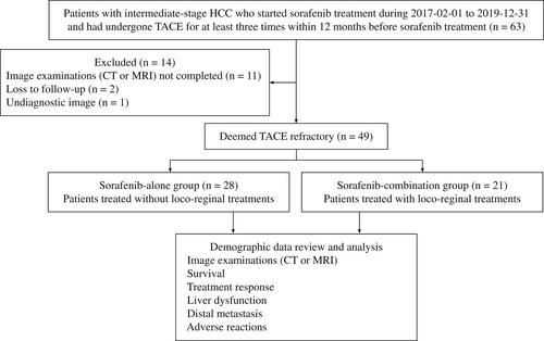 Efficacy of local-regional treatment plus sorafenib in intermediate-stage hepatocellular carcinoma patients refractory to transarterial chemoembolization