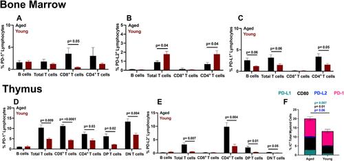 Immune checkpoint expression and relationships to anti-PD-L1 immune checkpoint blockade cancer immunotherapy efficacy in aged versus young mice