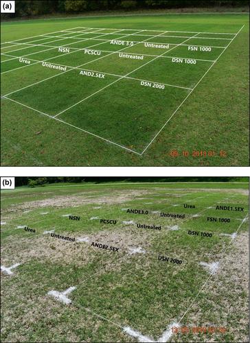 Evaluation of late-season nitrogen source application on autumn color and winter injury of ‘Riviera’ bermudagrass in the upper transition zone of the United States