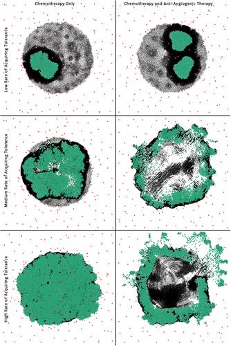 Multiscale modeling of tumor adaption and invasion following anti-angiogenic therapy