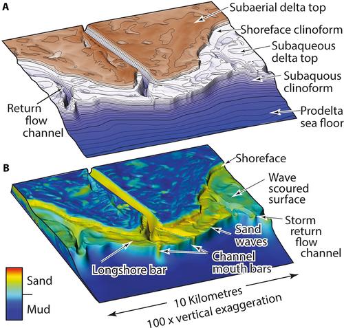 Sharp-based shoreface successions reconsidered in three-dimensions: A forward stratigraphic modelling perspective