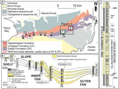 Channel-lobe transition zone development in tectonically active settings: Implications for hybrid bed development