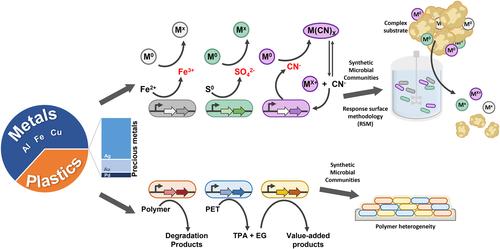 Biologically engineered microbes for bioremediation of electronic waste: Wayposts, challenges and future directions
