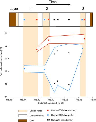 Reconstructing lake bottom water temperatures and their seasonal variability in the Dead Sea Basin during MIS5e