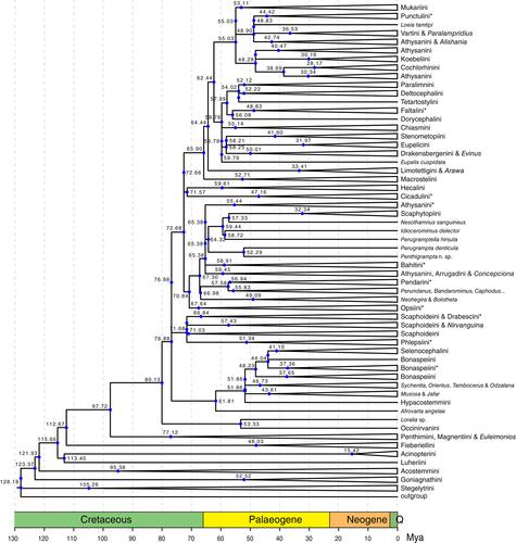 Dense sampling of taxa and characters improves phylogenetic resolution among deltocephaline leafhoppers (Hemiptera: Cicadellidae: Deltocephalinae)