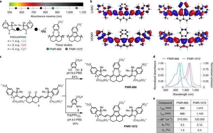 Targeted multicolor in vivo imaging over 1,000 nm enabled by nonamethine cyanines