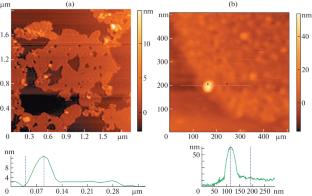 Manufacturing Titanium Dioxide (Anatase and Rutile) Nanoparticles on the Surface of Reduced Graphene Oxide