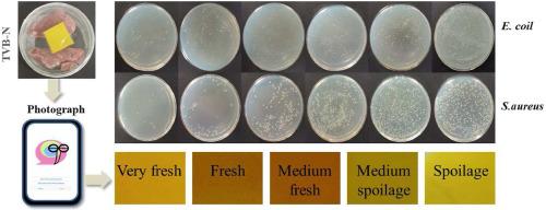 Fabrication and characterization of pH-responsive intelligent films based on carboxymethyl cellulose and gelatin/curcumin/chitosan hybrid microcapsules for pork quality monitoring