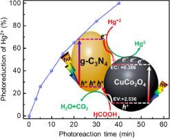 Templated synthesis of CuCo2O4-modified g-C3N4 heterojunctions for enhanced photoreduction of Hg2+ under visible light