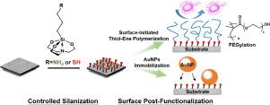 Versatile Thiol- and Amino-Functionalized Silatranes for in-situ polymerization and Immobilization of Gold Nanoparticles