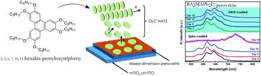Columnar liquid crystals as stability enhancing hole transport layers for Ruddlesden–Popper perovskite optoelectronics