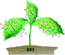 Strategies for total synthesis of bispyrrolidinoindoline alkaloids
