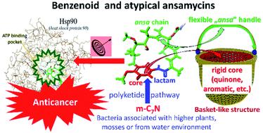 Structural diversity and biological relevance of benzenoid and atypical ansamycins and their congeners