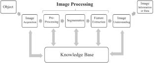 Defect Detection in Fruit and Vegetables by Using Machine Vision Systems and Image Processing