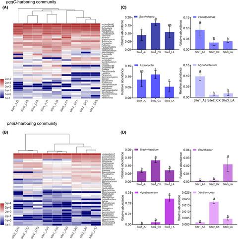 Diverse responses of pqqC- and phoD-harbouring bacterial communities to variation in soil properties of Moso bamboo forests