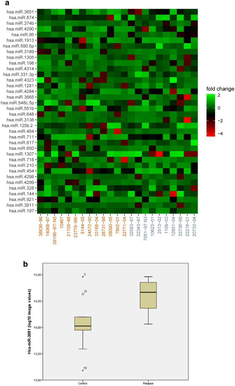 Hsa-miR-3651 could serve as a novel predictor for in-breast recurrence via FRMD3.