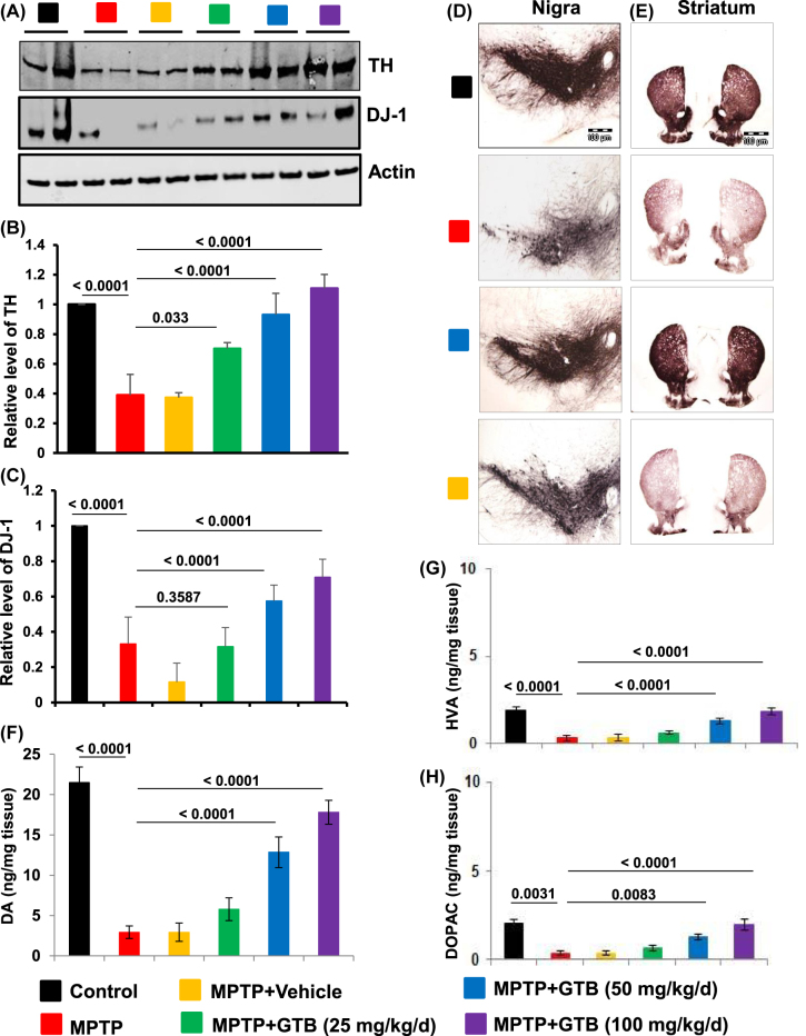 Protection of dopaminergic neurons in hemiparkinsonian monkeys by flavouring ingredient glyceryl tribenzoate.