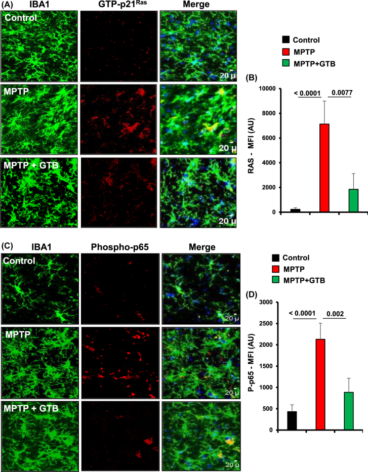 Protection of dopaminergic neurons in hemiparkinsonian monkeys by flavouring ingredient glyceryl tribenzoate.