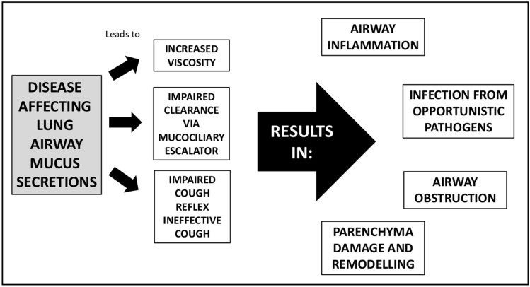 Non-Pharmaceutical Techniques for Obstructive Airway Clearance Focusing on the Role of Oscillating Positive Expiratory Pressure (OPEP): A Narrative Review.