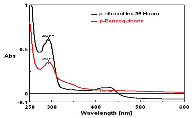 Biotransformation of nitro aromatic amines in artificial alkaline habitat by pseudomonas DL17.