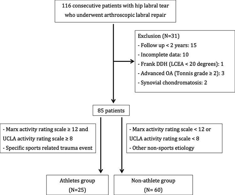 The clinical outcomes of arthroscopic hip labral repair: a comparison between athletes and non-athletes.