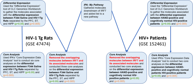 Using IPA tools to characterize molecular pathways underlying the involvement of IRF7 in antiviral response to HIV.