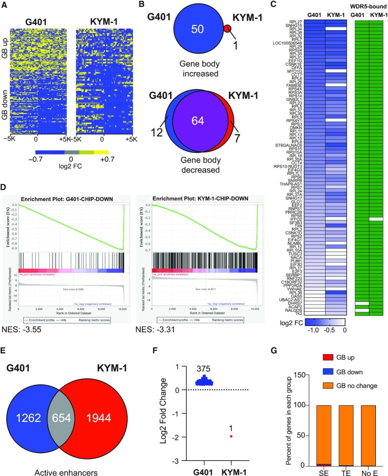 Synergistic action of WDR5 and HDM2 inhibitors in SMARCB1-deficient cancer cells.