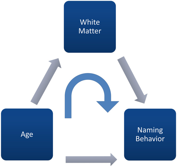 Cerebral White Matter Mediation of Age-Related Differences in Picture Naming Across Adulthood.