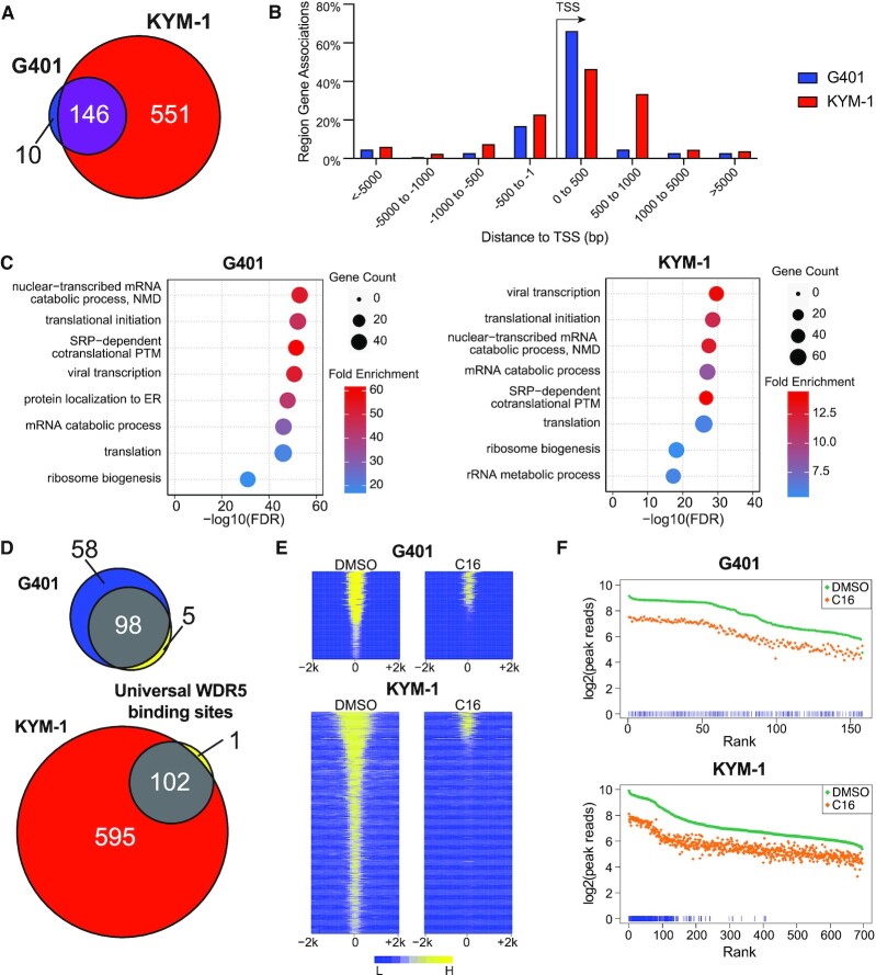 Synergistic action of WDR5 and HDM2 inhibitors in SMARCB1-deficient cancer cells.