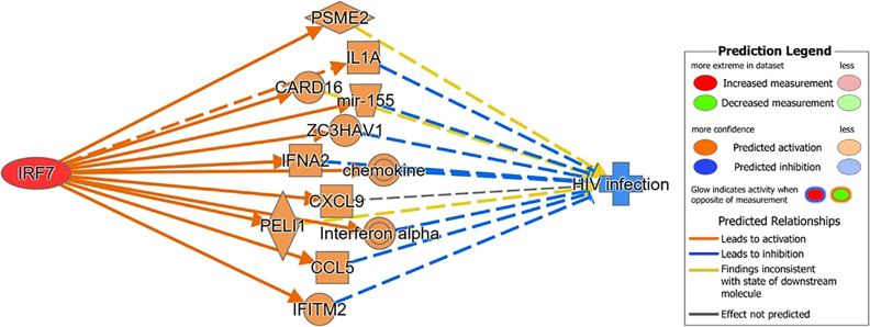 Using IPA tools to characterize molecular pathways underlying the involvement of IRF7 in antiviral response to HIV.