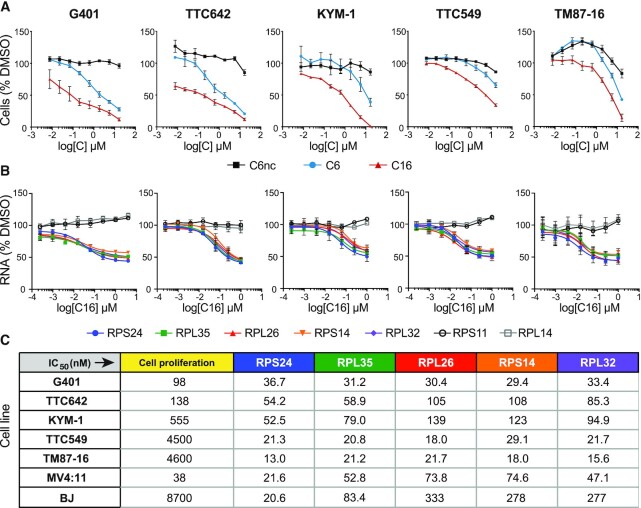 Synergistic action of WDR5 and HDM2 inhibitors in SMARCB1-deficient cancer cells.