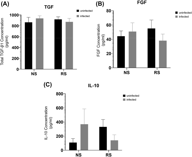 Senescent macrophages alter fibroblast fibrogenesis in response to SARS-CoV-2 infection.