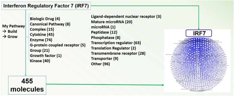 Using IPA tools to characterize molecular pathways underlying the involvement of IRF7 in antiviral response to HIV.